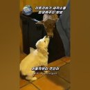 갑인농장 이미지