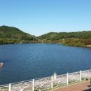 늘우리공인중개사사무소 이미지