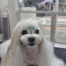 우리두리미용실 - 전주시 덕진구 | 우리두리미용실