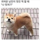 모찌모찌 네이버블로그