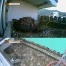 모정농장 이미지