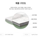 초정마을 이미지