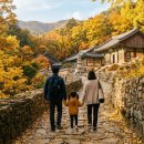 스테이 건축사사무소 | 2026 추석 연휴 부모님 모시고 가기 좋은 국내 힐링 여행지 BEST 5 | 가을 단풍 명소·사찰 산책...