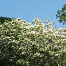 성주카병원 이미지