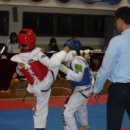 청일백호태권도 이미지