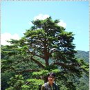 솔솔바람 이미지