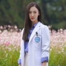 계절마다 이미지