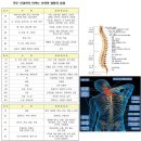 척추/골반/재활[척추 수술/시술 판정 및 재발하신 분... 허리(목) 디스크, 척추 협착증 &amp; 측만증 &amp; 분리증...] &amp; 보디빌딩(Body building) 1:1 맞춤 운동 전문 이미지