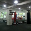 SH 다이어트 복싱 이미지