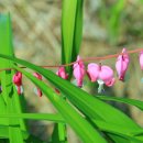 서탄초등학교 이미지