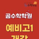 곰수학
