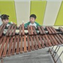 천전동4 Daum카페