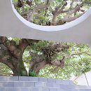 화양농공단지 | 제주 감성 뿜뿜! 여수에서 인생샷 카페 찾은 썰 푼다