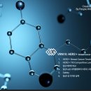 이레사 | 보로노이 2025. 12. 15. IR BOOK 파헤치기(4)