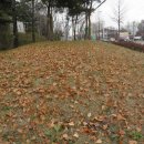 치악(부산) 이미지