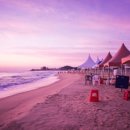 삼포화이트빌 이미지