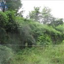 대행목장 이미지