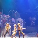 CATS 네일(캣츠네일)