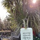 풍차다방 이미지