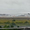 활주로가 보이는 인천공항 맛집! 광판 팔뚝김밥 솔직 후기