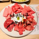 s-4 | 후쿠오카 야키니쿠 벤자민 가성비 S 코스 총비용 4인 가격 솔직후기 예약 팁까지