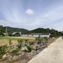 증도슬로시티 영농조합 이미지