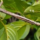 장수군농업기술센터 이미지
