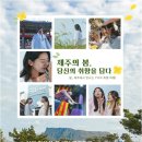 JS함덕 이미지