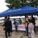 강화자원 서울매일
