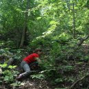 산수 농장 이미지