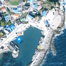 갈매기회센타 이미지