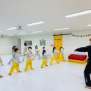 푸른빛 태권도장 이미지