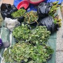 경산어탕 이미지