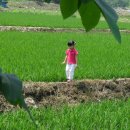 광덕자연어린이집 이미지