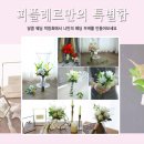 포시즌항공여행사 이미지