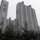 세월천로 이미지