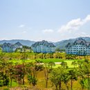홍천모터스 네이버블로그