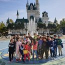 청진 합기도 이미지