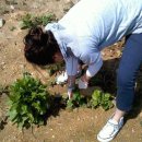 벌말농장 이미지