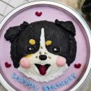 멍냥이수라간 이미지