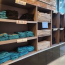 빈체로 피트니스 이미지