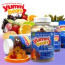 야미베어 이미지