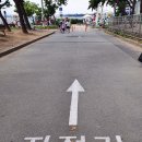 을숙도 자전거 무료대여소 이미지