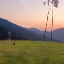 야간감성수채화 이미지