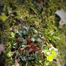 용굴암(우) 이미지