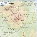 세동네