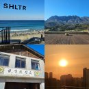 비선대만남의광장 | 새해맞이 속초맛집탐방 vs 소확행 집캉스 비교후기 feat.델피노 리조트