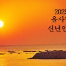 2025 을사년 신년인사 이미지