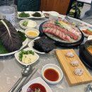 경기 동탄 방어맛집 포항아지매 3인 방어후기
