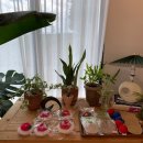 스테이 르브아 이미지